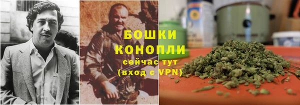 ГАЛЛЮЦИНОГЕННЫЕ ГРИБЫ Няндома