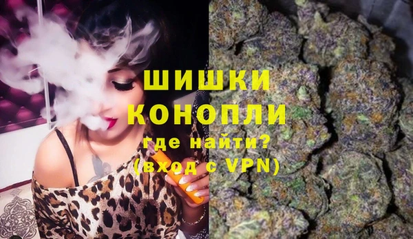 ГАЛЛЮЦИНОГЕННЫЕ ГРИБЫ Няндома