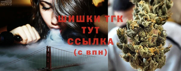 ГАЛЛЮЦИНОГЕННЫЕ ГРИБЫ Няндома