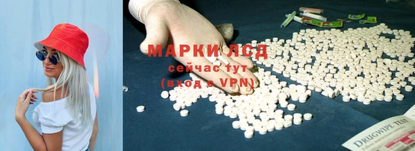 ГАЛЛЮЦИНОГЕННЫЕ ГРИБЫ Няндома