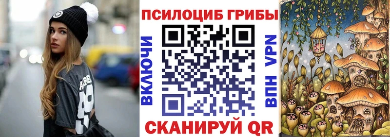 Галлюциногенные грибы Psilocybine cubensis  Купить закладки  Себеж 